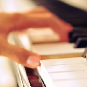 母狗园安装包最新版本
