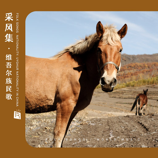 母狗园安装包最新版本
